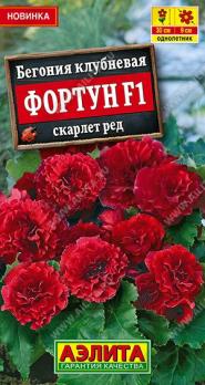 Бегония Фортун F1 Скарлет Ред 5шт (драже в пробирке) клубневая Сел.Sakata /однолетник