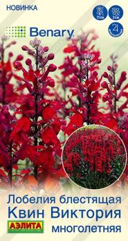 Лобелия Квин Виктория 7шт (драже в пробирке) Спецсерия Benary /многолетник