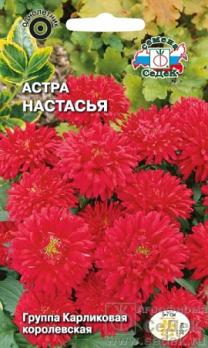 Астра Настасья 0,2гр /однолетник