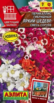 Перикаллис Яркий Шедевр 30шт смесь сортов сер.Цветущий балкон /многолетник
