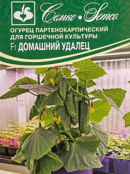 Огурец Домашний Удалец F1 5шт /горшечная культура с пучковым плодоношением