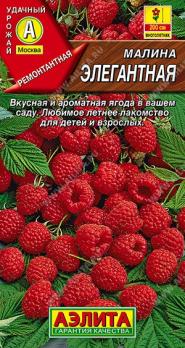 Малина Элегантная 20шт /крупная,сладкая,сочная, очень ароматная
