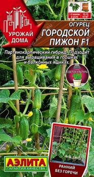 Огурец Городской Пижон F1 5шт сер.Урожай дома /партенокапический