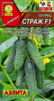Огурец Страж F1 10шт /высокоурожайный раннеспелый