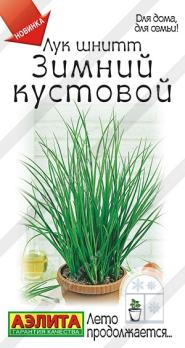 Лук шнитт Зимний Кустовой 0,3гр сер.Лето продолжается.../салатный