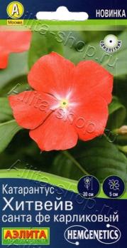 Катарантус Хитвейв Санта Фе 5шт карликовый Спецсерия Hem Genetics /однолетник