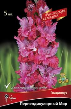 Гладиолус Перпендикулярный Мир 5шт 12+разбор 140см крупноцветковый 