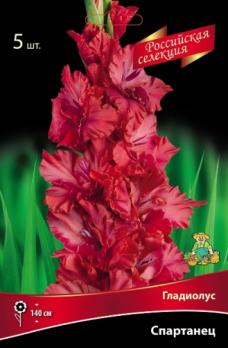 Гладиолус Спартанец 5шт 12+разбор 140см крупноцветковый 