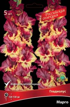 Гладиолус Марго (5шт) 120-130см крупноцветковый 12/+ Российская селекция