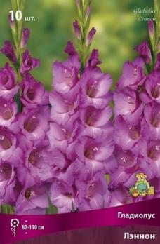 Гладиолус крупноцветковый Лэннон (10шт) 80-110см 10/12