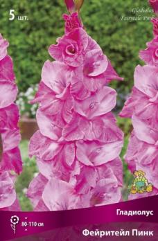 Гладиолус крупноцветковый Фейритейл Пинк (5шт) 80-110см 12/14