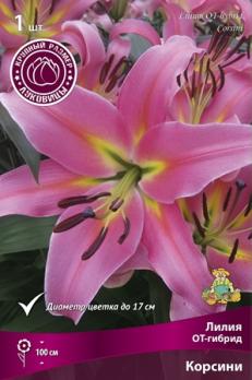 Лилия ОТ-гибрид Корсини 16-18/К 1шт