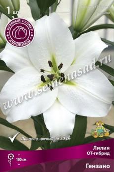 Лилия ОТ-Гибрид Гензано 16/18 (1шт) 100см