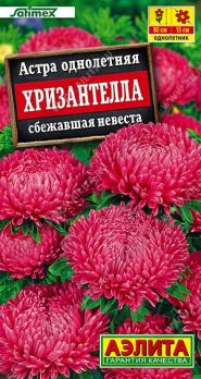 Астра Хризантелла Сбежавшая Невеста 15шт селекция Satimex /однолетник