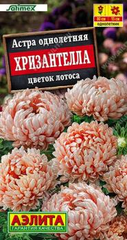 Астра Хризантелла Цветок Лотоса 15шт селекция Satimex /однолетник