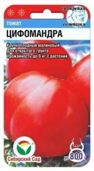 АКЦИЯ!!! Томат Цифомандра 20шт Сибирская селекция /среднеранний сорт/12.27