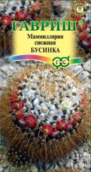 АКЦИЯ!!! Маммиллярия (Кактус) Бусинка 2шт /комнатные/12.27
