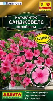 Катарантус Санджевелс Строберри 7шт Сел.Floranova Золотая серия /однолетник