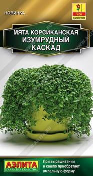 АКЦИЯ!!! Мята Изумрудный Каскад 3шт (драже в пробирке) корсиканская Золотая серия /однолетник/12.27
